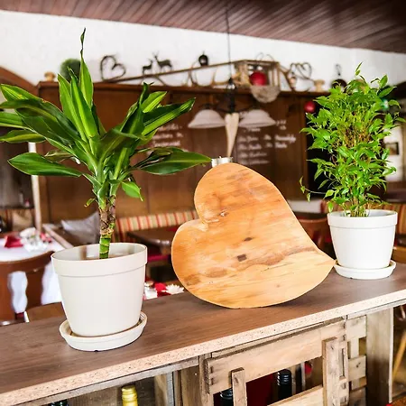 Hotel/restaurant Zum Wiesengrund 3*